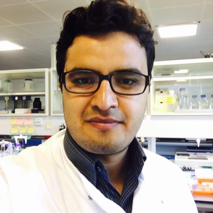 Sarmad Mehmood, Ph.D.
